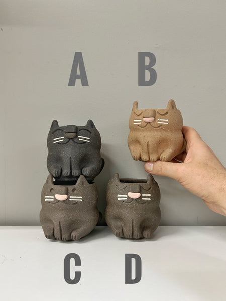 Moodie Cats - Small