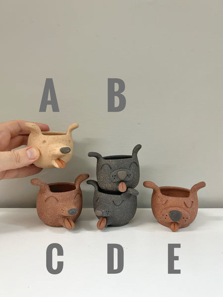 Simple Moodies - Dog - Miniature